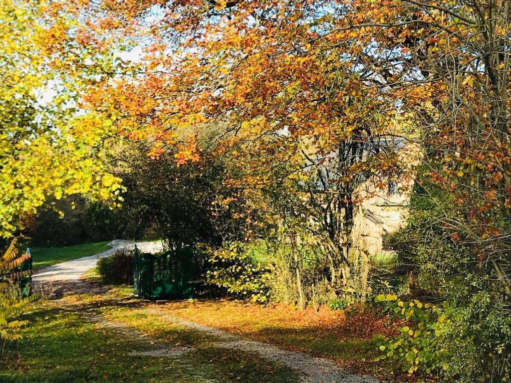 Lovely Meadow House In The Land Of Croix Scaille Gedinne Esterno foto