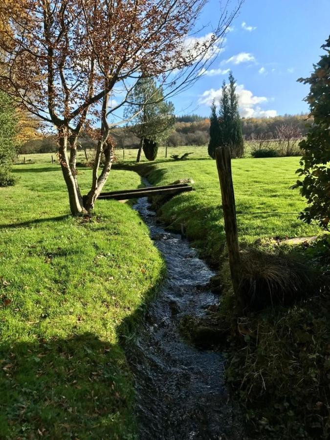 Lovely Meadow House In The Land Of Croix Scaille Gedinne Esterno foto