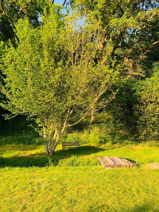 Lovely Meadow House In The Land Of Croix Scaille Gedinne Esterno foto